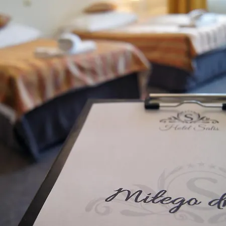 Salis Hotel Wieliczka